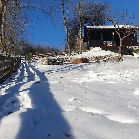 Chalet Poarta Bran  Exterior foto