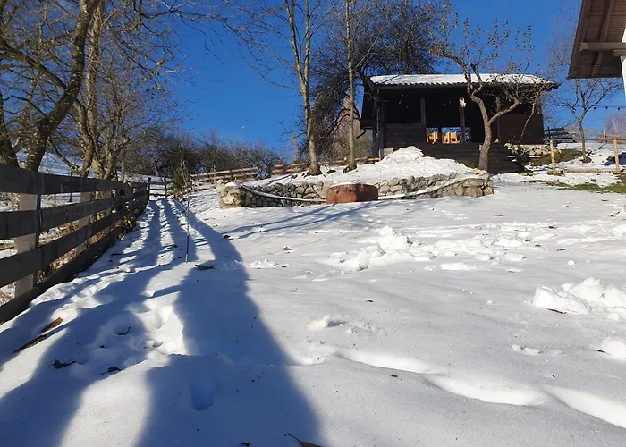 Chalet Poarta