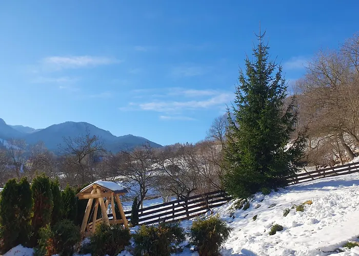 Chalet Poarta
