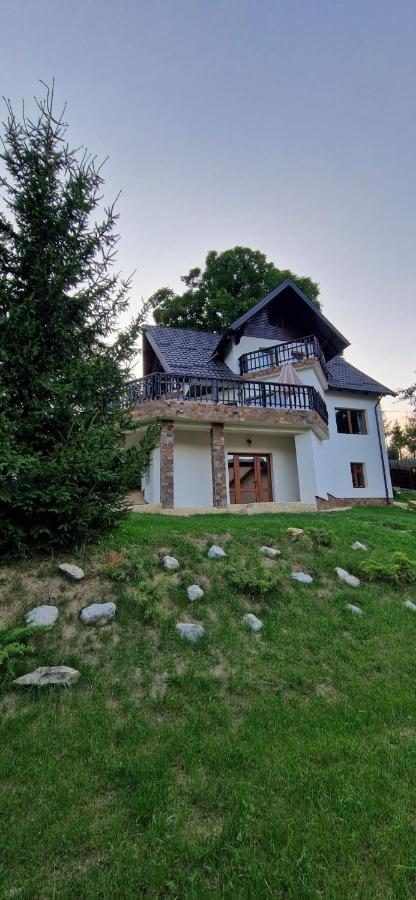 Villa Poarta Bran (Brasov)