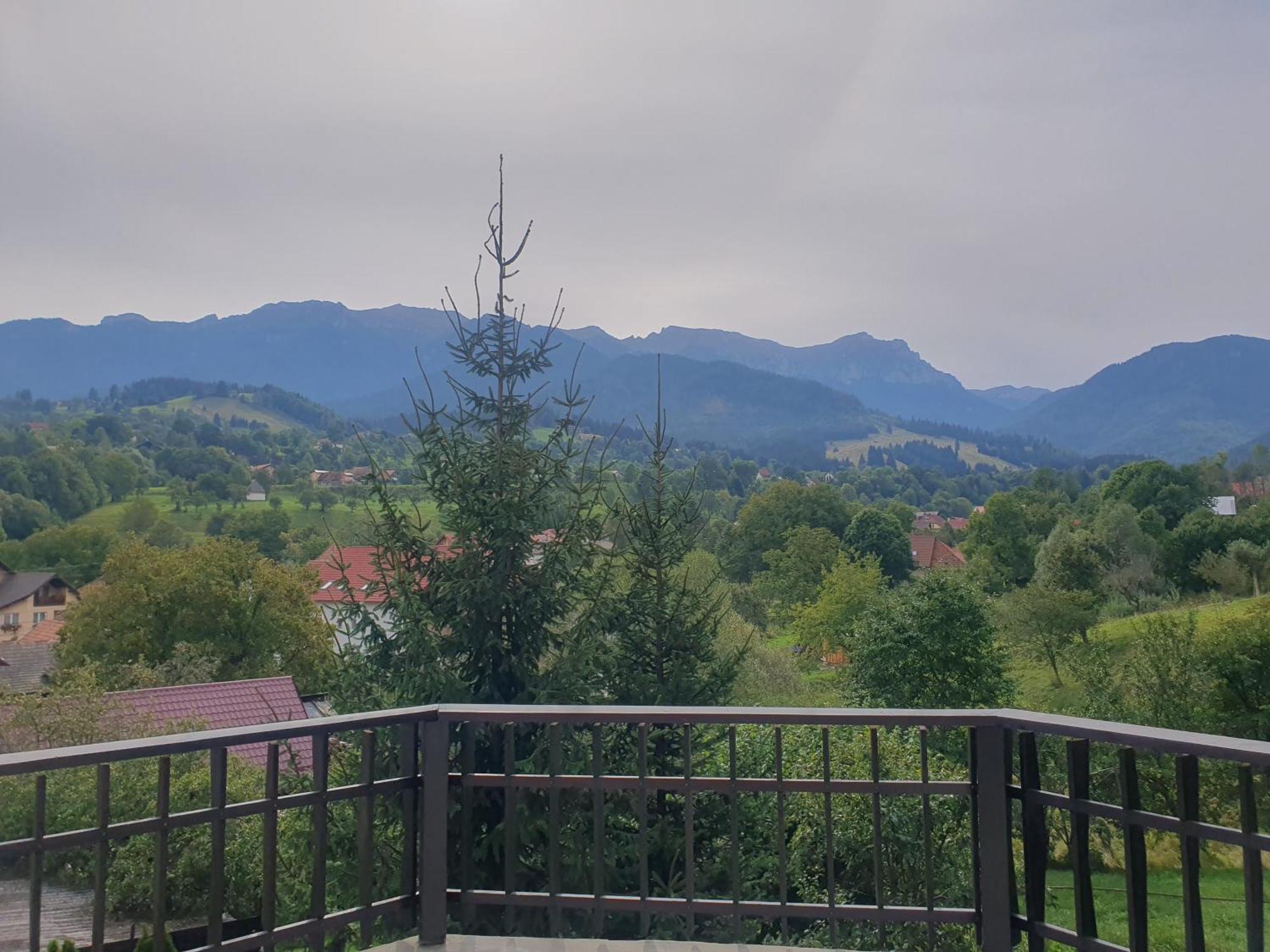 Poarta Villa *